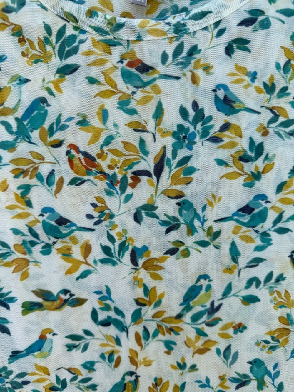 Daniel Rainn Cream Short Sleeve Bird & Floral Print Top - Picture 4 of 5